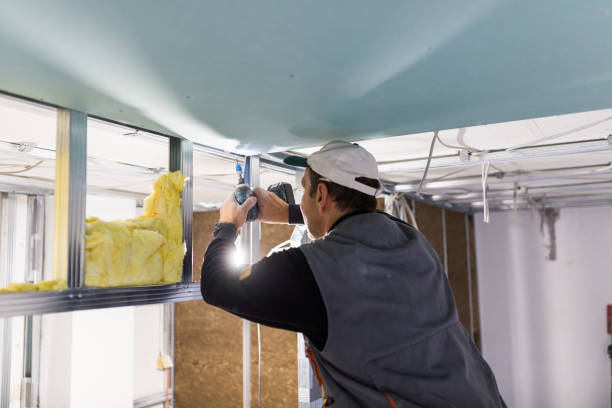 Best Insulation for New Construction  in Monroe, GA