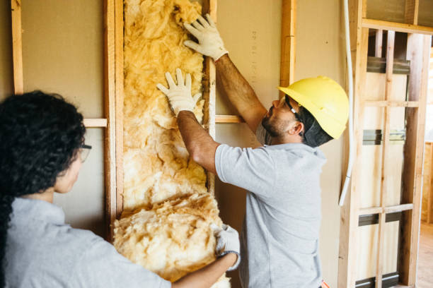 Best Soundproof Insulation Installation  in Monroe, GA