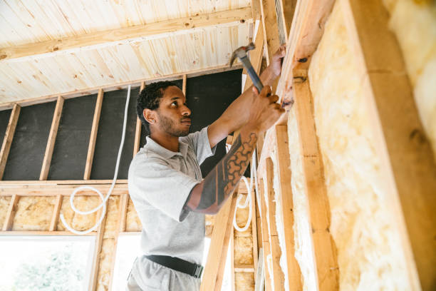 Best Insulation Replacement Services  in Monroe, GA