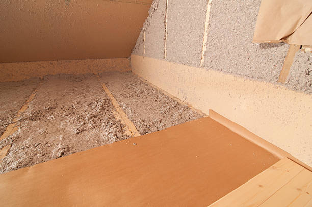 Best Insulation Repair Services  in Monroe, GA