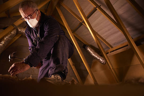 Best Insulation Inspection Services  in Monroe, GA